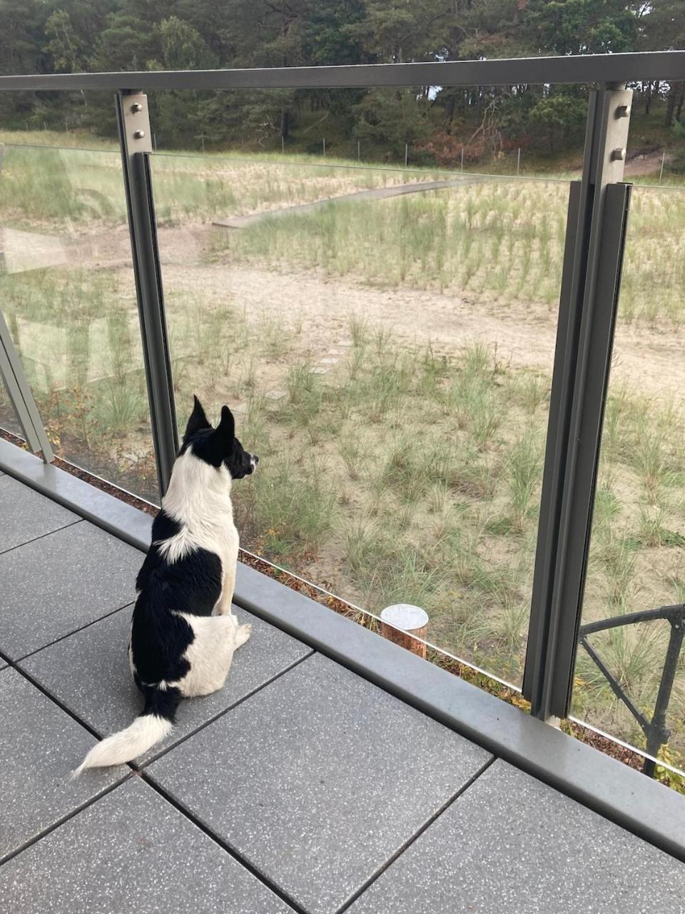 Appartement Treibholz *