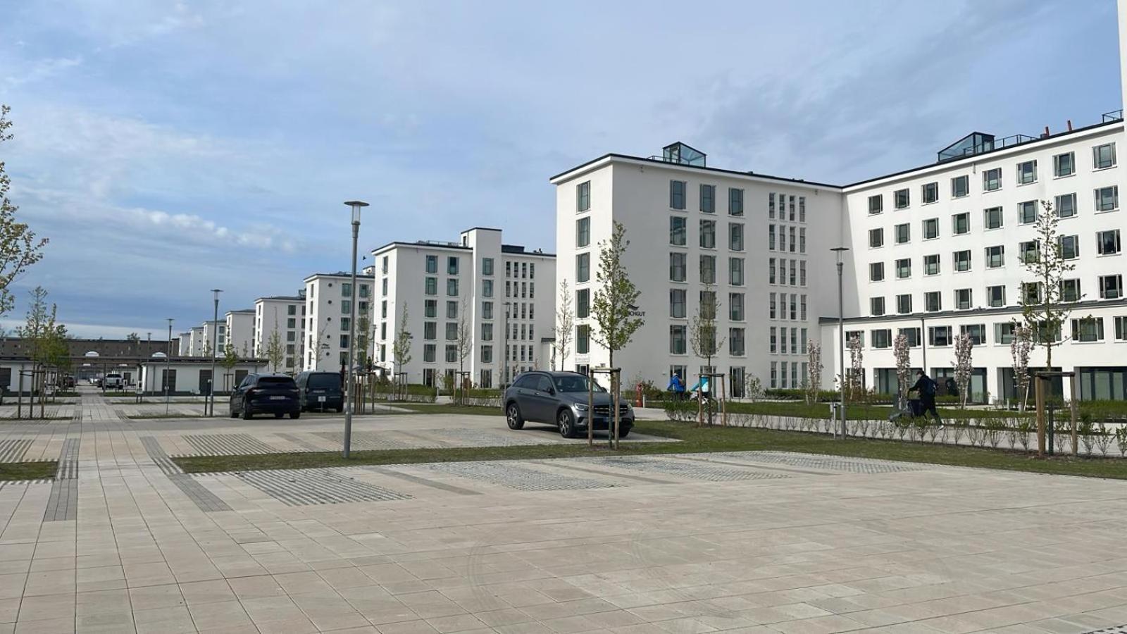 Treibholz Binz
